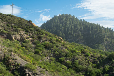 High voltage electric transmission towers on green hills in the mountains of Tenerife,の写真素材