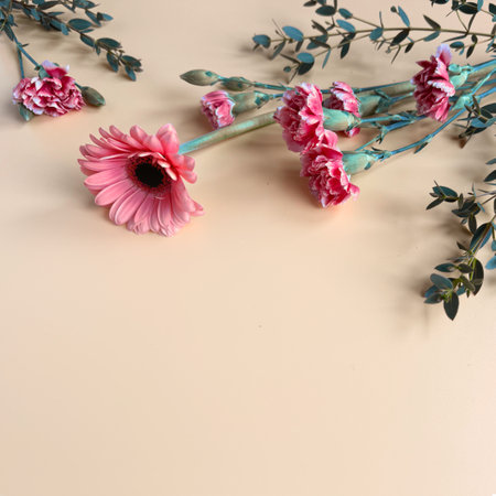 Pink Carnations Arranged on Tableの写真素材