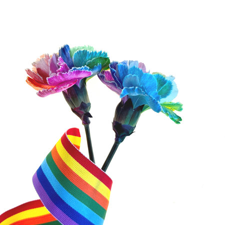 Two vibrant, multi-colored carnations with rainbow ribbon and the word love isolated on white backgroundの写真素材