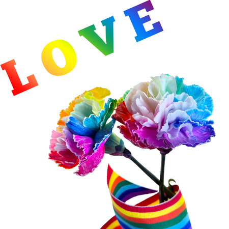 A vibrant, multi-colored carnations with rainbow ribbon and the word love isolated on white backgroundの写真素材