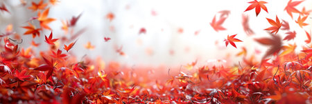 Autumn Maple Leaves, Red and White Panoramic Bannerの素材