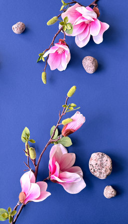 Elegant Magnolia Flowers and Stones Arrangement on a Dark Blue Backgroundの写真素材