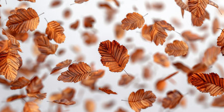 Autumn Leaves Cascade on Whiteの素材