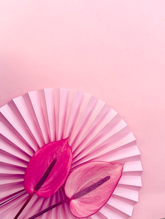 Elegant Pink Anthurium Flowers on Pleated Paper Background Perfect for Design, Print, Postersの写真素材