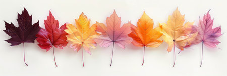 Colorful Maple Leaves on Artistic Background: Vibrant Autumn Foliage Displayの素材