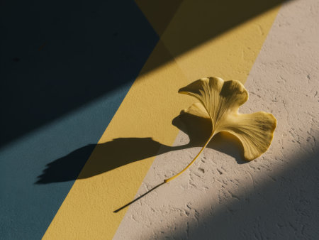 Yellow Ginkgo Leaf Casting Long Shadow on Colorful Geometric Patterned Surfaceの素材