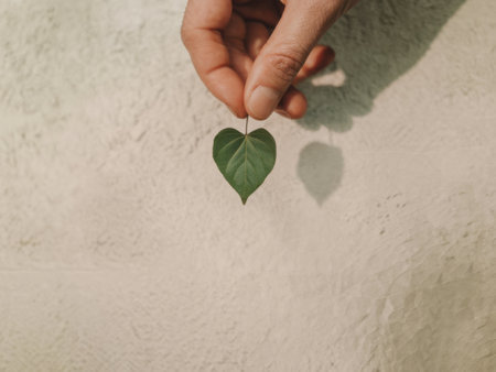 Hand Holding Heart-Shaped Green Leaf on Textured Concrete Backgroundの素材