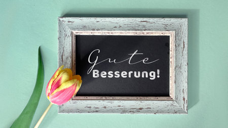 Rustic frame with text "Gute Besserung" meaning "Get well soon" in German, next to a pink and yellow tulip on a green backgroundの写真素材
