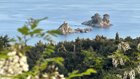 Picturesque coastal scene featuring small rocky islets surrounded by calm blue waters, framed by lush greenery and flowering plants in Montenegro. Petrovac, Islands Katic and Sveta Nedjeljaの写真素材