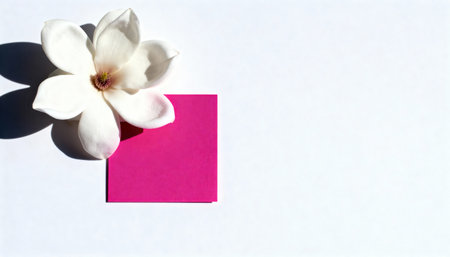 White magnolia flower placed next to a bright pink square paper on a clean white background. Minimalist composition with vibrant contrast and ample copy-space.の素材