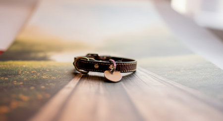 Close-up of a leather dog collar with a heart-shaped tag placed on a wooden surface with a blurred natural background.の素材
