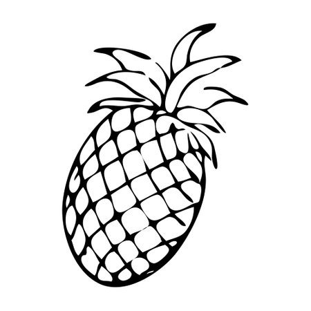 ripe pineapple with green leavesのイラスト素材
