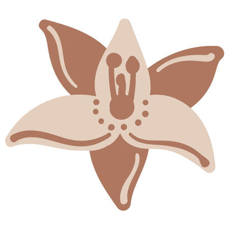 decorative flowers leaves and items to create postcards and patternsのイラスト素材