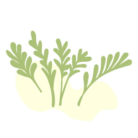 Botanical drawing. Meadow greens minimal , abstract leaf and blooming flowers sketch element,.のイラスト素材