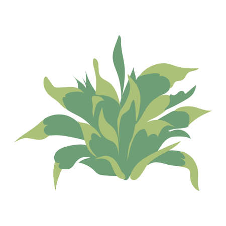 Botanical drawing. Meadow greens minimal , abstract leaf and blooming flowers sketch element,.のイラスト素材