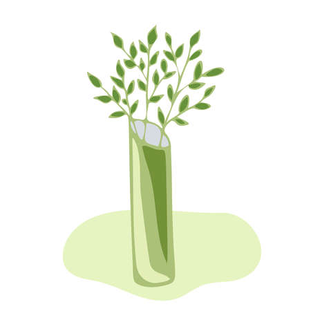 Beautiful decorative flowers in a vase. Simple doodle style for postcards, notebooks, stickers, design.のイラスト素材