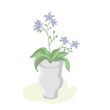 Orchid Phalaenopsis houseplant, potted flower vector illustrationのイラスト素材