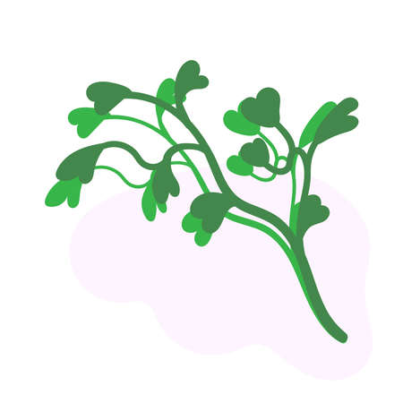 Botanical drawing. Meadow greens minimal , abstract leaf and blooming flowers sketch element,.のイラスト素材