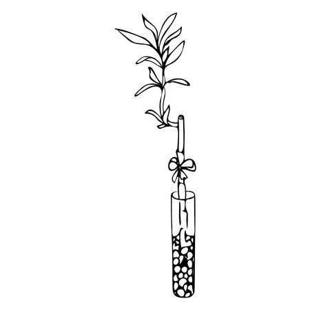 Beautiful decorative flowers in a vase. Simple doodle style for postcards, notebooks, stickers, design.のイラスト素材
