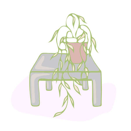 houseplant in a pot on a table hanging on the floor against the backgroundのイラスト素材