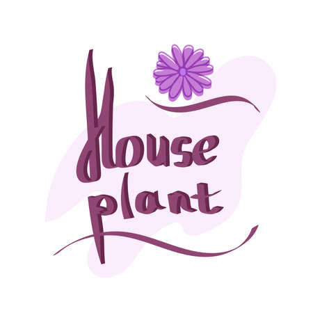 houseplants hand drawn lettering for poster, decor, interior.のイラスト素材