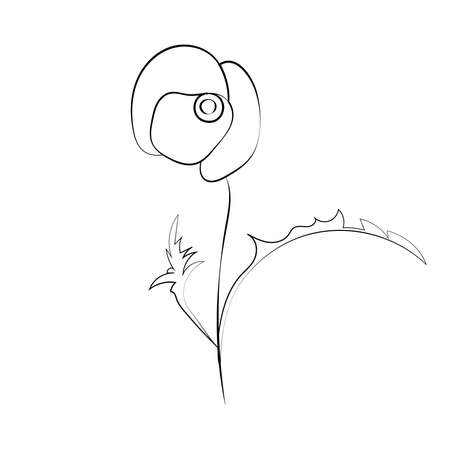Poppy flower, line drawing. Wildflowers, outline floral design elements isolated on white background,のイラスト素材