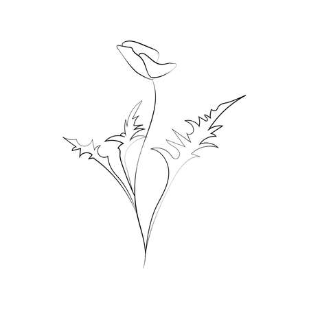 Poppy flower, line drawing. Wildflowers, outline floral design elements isolated on white background,のイラスト素材