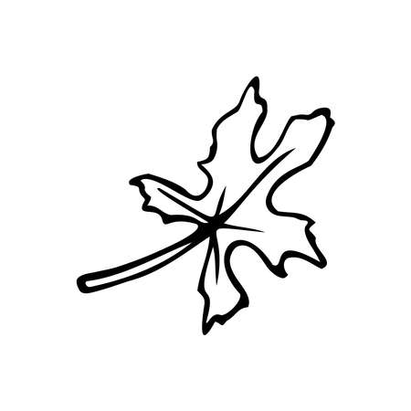 Hand drawn tree leaf illustration in doodle style.のイラスト素材