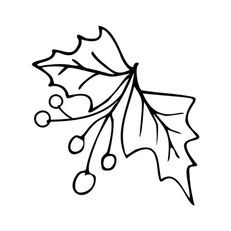 Hand drawn tree leaf illustration in doodle style.のイラスト素材