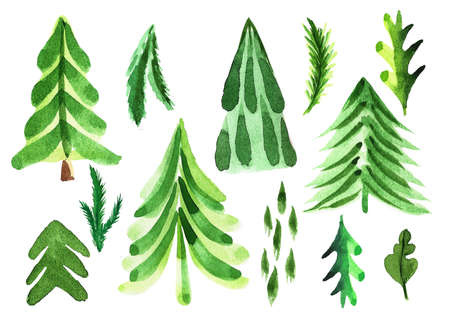 Set of watercolor fir trees. Hand painted spruce forest illustration.の写真素材