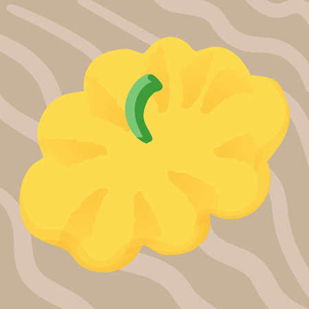 Fresh vegetables squash, pumpkin doodle hand drawnのイラスト素材