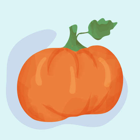 Fresh vegetables squash, pumpkin doodle hand drawnのイラスト素材