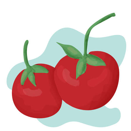 Fresh vegetables tomatoes isolated on background. Vectorのイラスト素材