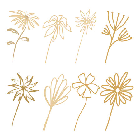 Set of flowers and leaves in boho style doodle elementsのイラスト素材