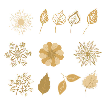 Set of flowers and leaves in boho style doodle elementsのイラスト素材
