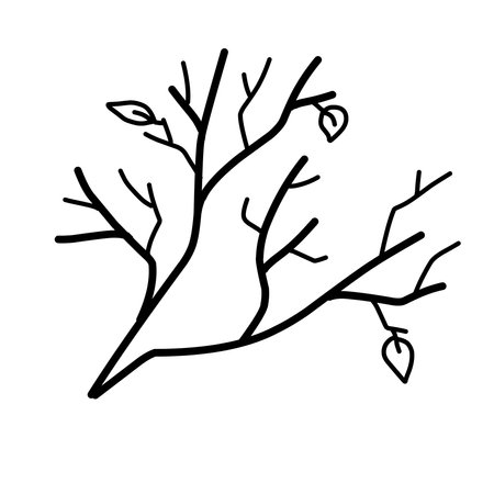 Branch without leaves in doodle style on backgroundのイラスト素材