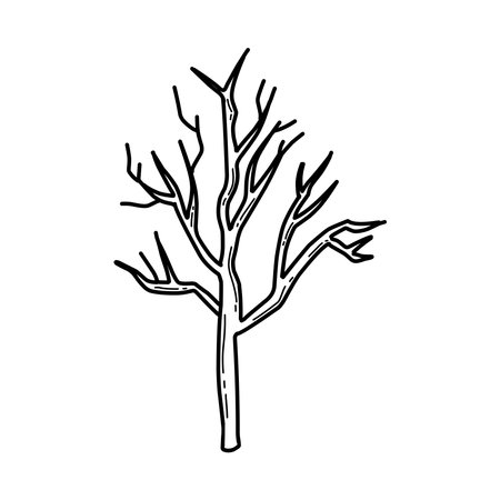 Branch without leaves in doodle style on backgroundのイラスト素材