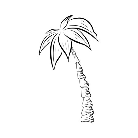 Decorative palm tree hand drawn in doodle styleのイラスト素材