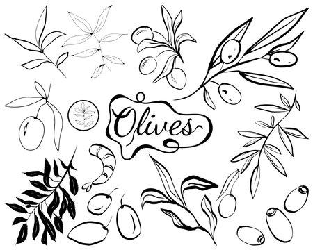 Big set with olives. Olives and products from them on the background.のイラスト素材