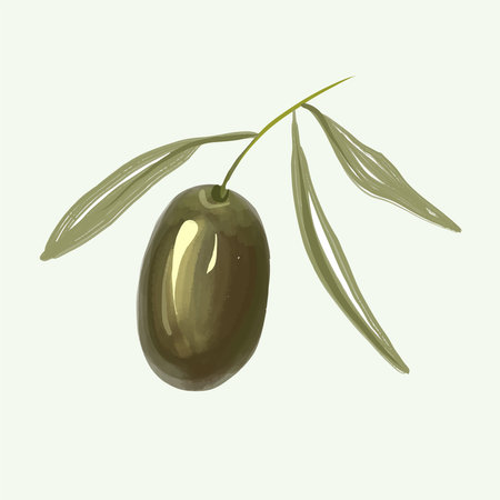 Olive branch hand drawn isolated on backgroundのイラスト素材