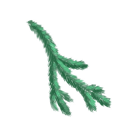 Christmas fir branches in the backgroundのイラスト素材