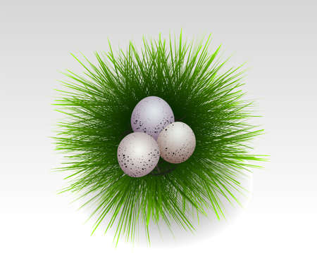 easter eggs in fresh grass illustrationのイラスト素材