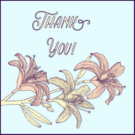 Hand drawn background with lily branch for greeting cards, invitation etc. Vector illustrationのイラスト素材