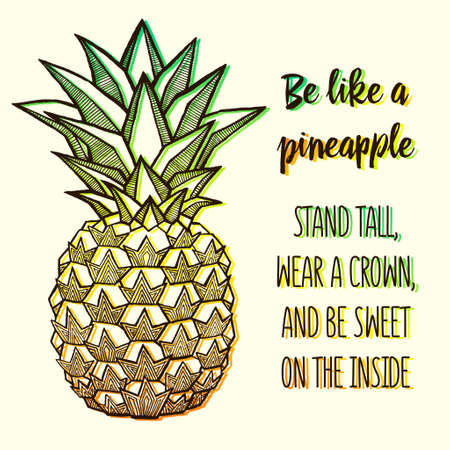 Fresh Pineapple isolated on white background. Hand-drawn ink vector illustration for t-shirts, banners, posters etcのイラスト素材