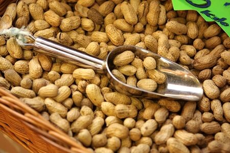 Peanutsの写真素材