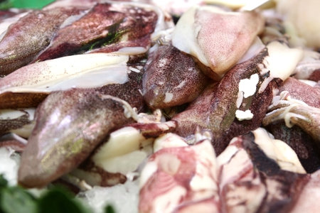 Calamari at the market