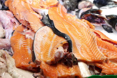 Salmon