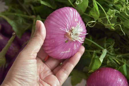 Woman's hand holding fresh red onions with green leaves in the background