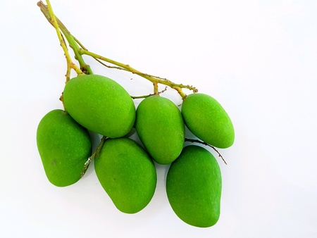 Green mango with white backgroundの素材