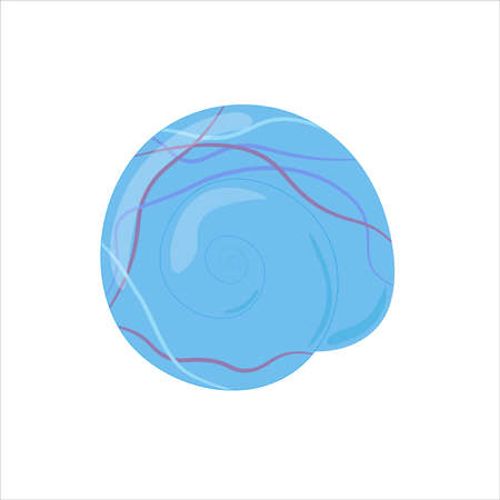 Seashell isolated. Spiral shape. Vector illustration on white background.のイラスト素材